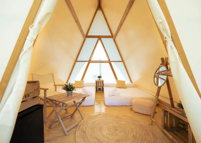 Kampaoh Oyambre * El Tejo