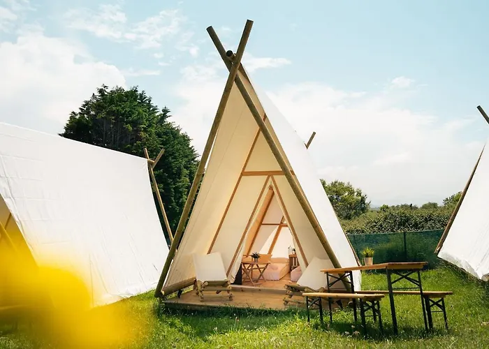 Kampaoh Oyambre El Tejo